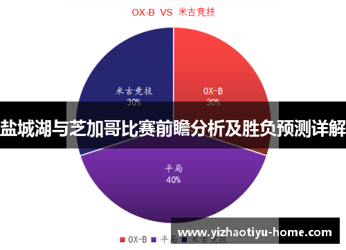 盐城湖与芝加哥比赛前瞻分析及胜负预测详解